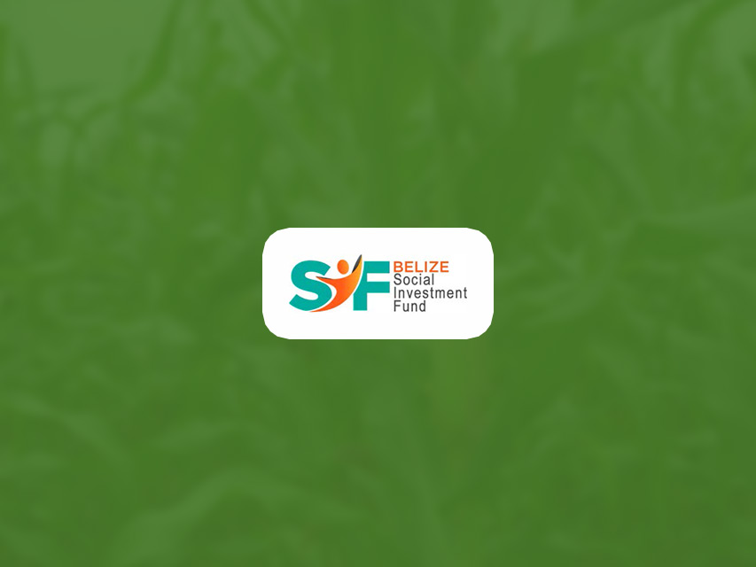 Invitation for Expressions of Interest Short Consultancy for the development of Pesticide Risk Reduction Strategies